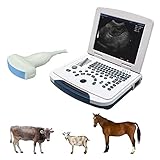 DAWEI Mu10 Veterinary Ultrasound Machine Scanner with Waterproof Probe B,BB,BM,4B for Vet Ultrasound Scanner Animals Pregnancy Examination for Dog,Sheep,Cattle,Horse,Pig (Convex Probe)