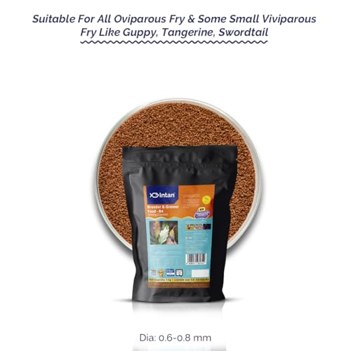 Image of Intan Breeder & Grower Food - B4 (0.6-0.8mm Slow Sinking Crumble) | 5Kg - Highly Nutritious Ornamental Fish Food for A Range of Feed from Fry to Grow Out Stage for Viviparous & Oviparous Fish