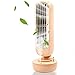 Lazeny Wentylator USB Mini Tower Fan wentylator stołowy z nawilżaczem powietrza, osobisty wentylator wieżowy, przenośny wentylator biurkowy, do biura, domu, mieszkania na zewnątrz (różowy)