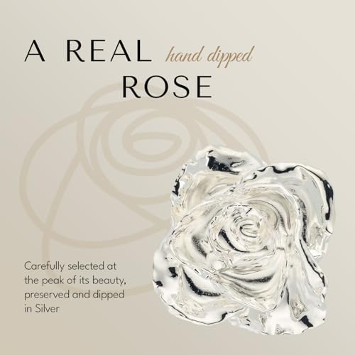 Image of Forever Rose Real Rose Dipped in Silver, Bloom Box and Phantom Vase