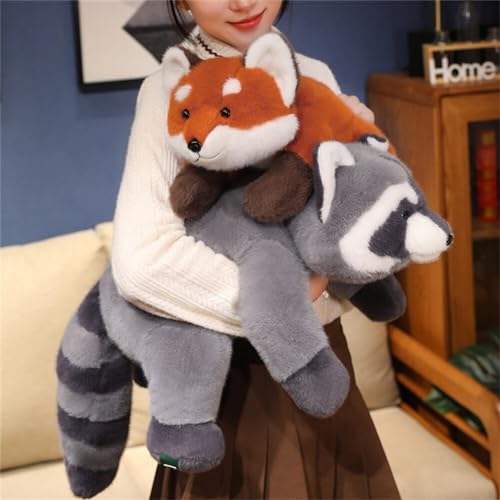 Camas para Perro, Video On Demand Imagen adicional