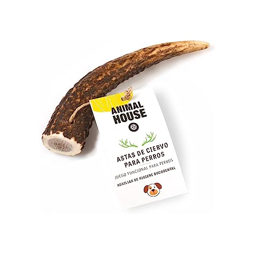 Animal House Cuerna de Ciervo 100% para Perros a Masticar, Juguete Hueso, Natural para Mantener los Dientes y Las encías sanos y limpios. para Todas Las Tallas (S)