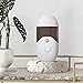 jojnsha Humidificador personal USB de 50 ml para uso facial Imagen de jojnsha Humidificador personal USB de 50 ml para uso facial