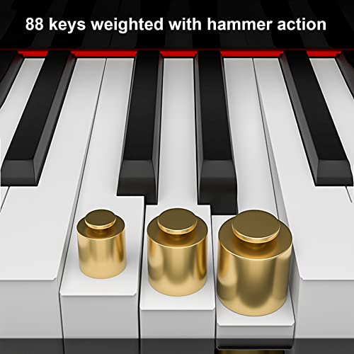 Piano numérique 88 touches avec touches lestées clavier électrique clavier portable support de piano Bluetooth MIDI for débutants adultes enfants inclus support, triple pédale, tabouret de piano (Col - Les Beatles, Paul McCartney, John Lennon, RIngo Starr, George Harrison Piano numérique 88 touches avec touches lestées clavier électrique clavier portable support de piano Bluetooth MIDI for débutants adultes enfants inclus support, triple pédale, tabouret de piano (Col – Image 3