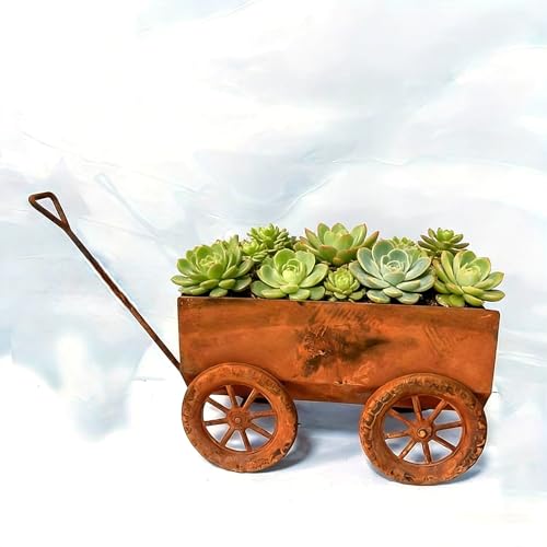 Support mobile pour fleurs en pot fini les rayures sur le sol