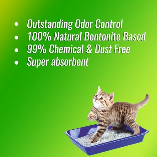 Ever Clean Scoopable Smart Bentonite Cat Litter | 20 kg | Organic | Bentonite from Turkey | Dust-Free | (Image - 5)
