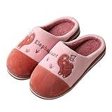 Briskorry Zapatillas de baño acogedoras para parejas para mujer, deslizantes en el pelo, planas, para el hogar, invierno, punta redonda, con diseño de dibujos animados, pantuflas de invierno