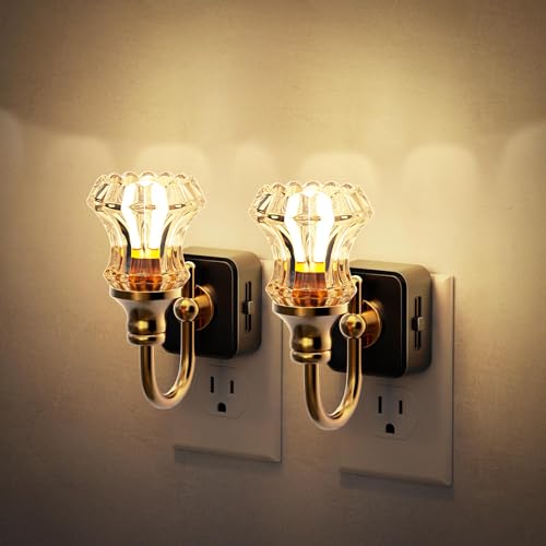 Image of JandCase Night Light, Night Lights Plug into Wall, Glass Floral Nightlight