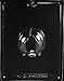 1 X MEDIUM 3-D SKULL BACK CHOCOLATE CANDY MOLD