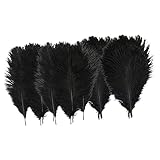 BELLIFFY 20個黒いオーストリッチ羽根 クラフト装飾 結婚式 パーティー ハロウィン用インテリアデコレーション
