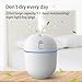 Imagen de Zambuph Humidificador de aire, difusor de Aroma