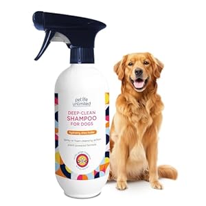 Pet Life Unlimited Dog Shampoo and Conditioner 2-in-1 Spray, 16 oz, Plant-Based, Vanilla Ginger Scent, Gentle Foaming Spray for Hydrating, Cleansing & Deodorizing, Made in USA (Pack of 1)