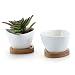 T4U 3 Inch Ceramic White Misalignment Traiangle Design succulent Plant Pot/Cactus Plant Pot With Bamboo Tray Package 1 Pack of 2
