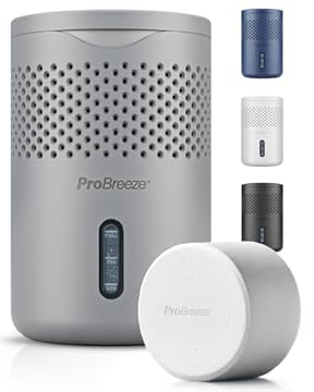 Pro Breeze Osmo Deumidificatore Silenzioso e ricaricabile per umidità e condensa in casa camera armadio auto – Rimuovi muffa da bagno con pastiglia da 700g – Senza elettricità