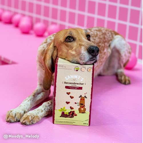 Sammy´s Herzensbrecher | Fein gebackene Snacks für Hunde | Schonend im Ofen gebacken | Mit Rote Bete & Löwenzahn | Reich an Geflügel | ohne Zuckerzusatz | Trainingssnack | 4 x 800 g