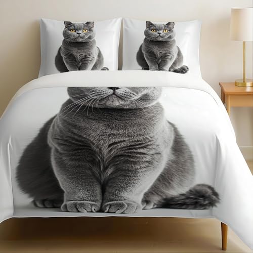 Housse de Couette Chat British Shorthair 140 x 200 cm Parure de Lit Bleu-Gris 1 Personne Enfant Ado, Microfibre avec Fermeture Éclair et 2 Taies d’Oreiller