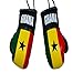 ME MAXEQUIP Mini guantes de boxeo de la bandera de Ghana para accesorios de coche adorno interior colgante espejo retrovisor