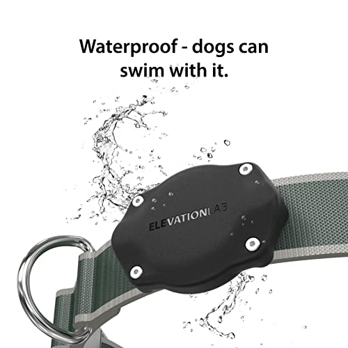 TagVault Pet (2 Pack) - The Original AirTag Dog Collar Waterproof Mount, Ultra-Durable, Fits All Width Collars… - Image 4