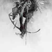 The Hunting Party by Linkin Park [Music CD] - Amazon.com Music