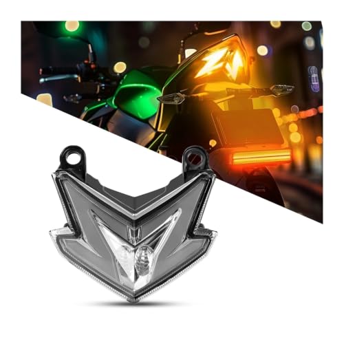 Luz trasera LED integrada con intermitentes para Z800 ZX6R Z125 2