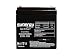 Alarm Back up Battery Fits 12 Volt 4.0ah - 12V4.5ah - 5.0ah Beiter DC Power