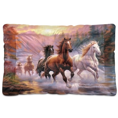 Fuauuyl Alfombrilla suave para cama de perro con diseño de caballos corriendo, lavable a máquina, con parte inferior antideslizante para dormir de perro, 61 x 45 cm