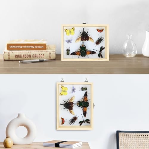 Herstellung von Insektenproben Werkzeug-Set, (Insektennadeln, Insektenschattenbox, Insekten-Pinnbrett, Flügelpresspapier, Pinzette, Schere), Insektenproben-Sammeldisplay für Käfer,
