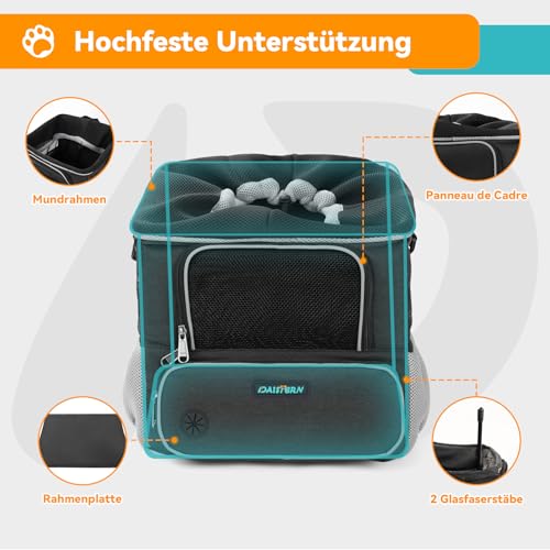 DAISTERN Hundekorb Fahrrad Vorne bis 3KG, Hundefahrradkorb mit Montagehalter Φ53mm, Rucksack Schultertasche Autositz mit Atmungsaktives Netzfenster, wasserdichtes Sitzkissen für kleine Hunde