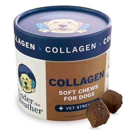 Under the Weather Collagen Chews for Dogs | Promotes Healthy Skin Coat and Stronger Hip & Joint | Improves Overall Mobility | Immunity and Anti-inflammatory Collagen for Dog Supplement | 60 Count Cover