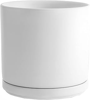 Amazon Co Jp 植木鉢 大型