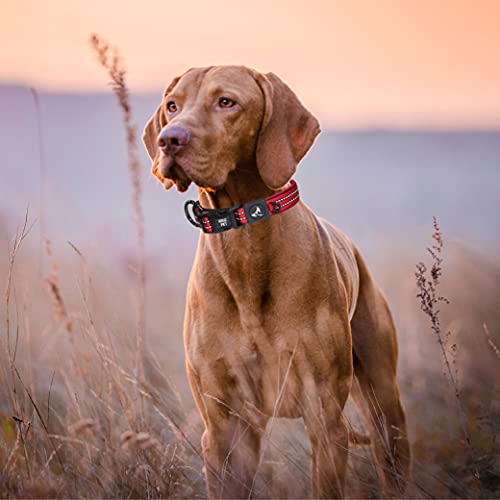 Kruz Dog Collar for Large Dogs (Width- 1", Length - 25"-27.5") Reflective Adjustable Pet Neck Band with Comfortable Neoprene Padding, Heavy-Duty O-Ring, 100% Nylon Strap (Blue, X-Large) by KRUZ PET - Image 6