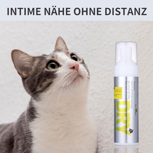 Trockenshampoo Hund & Katze – Wasserloses Hundeshampoo Schaum für empfindliche & juckende Haut – Sanfte Reinigung ohne Ausspülen – Anti-Juckreiz Trockenpflege, 200 ml