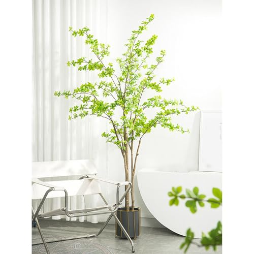 [LJKI] lHϗtA hE_ccW tFCNO[  sv CeA  A150cm O tFCNA ϗt sv ͂Ȃ ~͐A a z[ x_ p Bep lHA  ^ 傳  J^ 