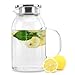 INTIRILIFE 1,8l Caraffa con Filtro in Chiaro - Brocca in Vetro borosilicato con Manico e Filtro e Coperchio Rimovibili Adatta per Bevande Calde e Fredde - Acqua caffè Ghiaccio tè ECC.