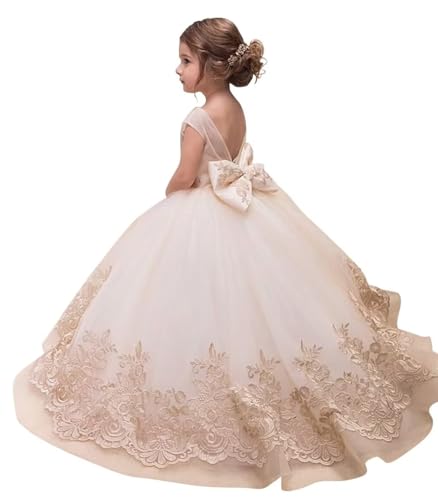 Flower Girl Dresses for Weddings Lace Appliques Kids Pageant Dresses Party Formal Dance Ball Gown with Bowknot