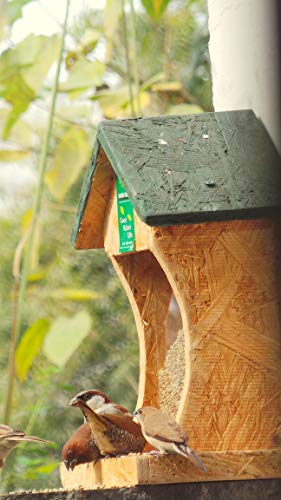 Image of Birds Wall Mounted House Feeder