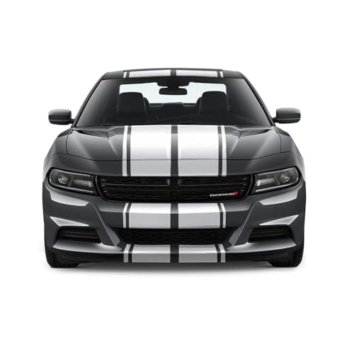 Fusion Decals Dual 10