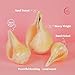 KALARI WARRIORS Natural Conch Sea Shell Shankh|Vamavarti Blowing Shankh for Pooja and Padam 10-11
