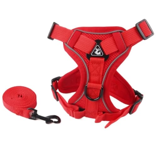 Fiozwea [VA`FXgXgbvAxXgX^C̔˒ʋCybgEH[LO[vAƔL̋tBIYEBA (bh,M)