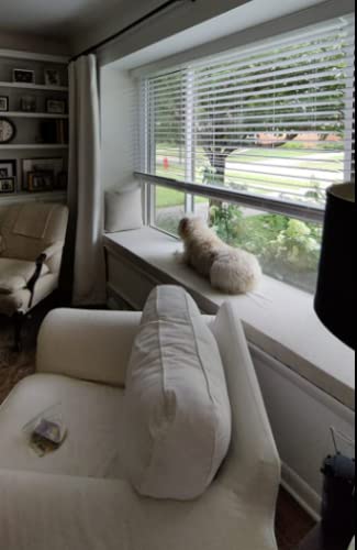 View 7