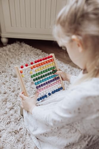 Natureich Abakus Rechenrahmen aus Holz Buche für Grundschüler / 100 Holzrechenbrett/Bunte Kugeln mit Aufgaben/Spiel und Spaß für Rechenprofis/Lernen leichtgemacht