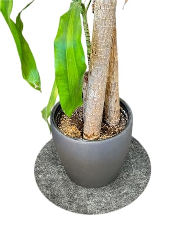 CleanUp Absorbent Plant Mat 17.5" Diameter