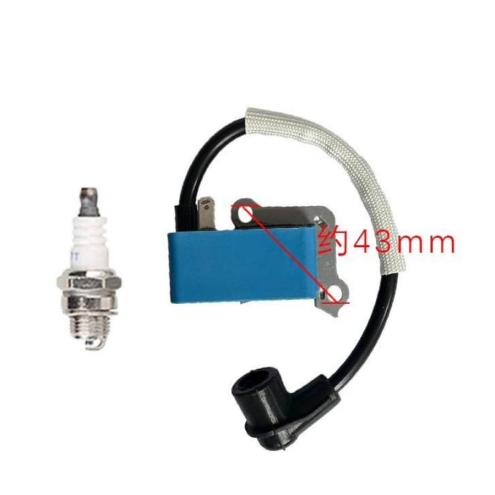 Módulo de Bobina de Encendido Compatible con Motor 580BFS 560 360BT 578BTF 587984501