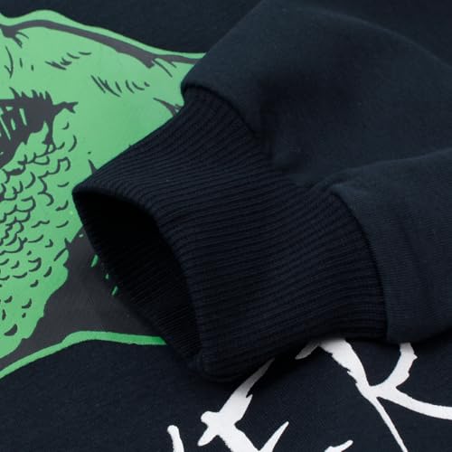 Image of Popshion Toddler Boys Sweatshirts Dinosaur Long Sleeve Pullover Crewneck Shirts Cartoon Tee Sport Tops for Kids 1-8T