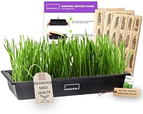 HAMAMA Microgreens Growing Kit Wheatgrass - Indoor Sprouts Mat - ...