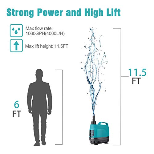 https://m.media-amazon.com/images/I/41tP0XMbPbL._SL500_.jpg