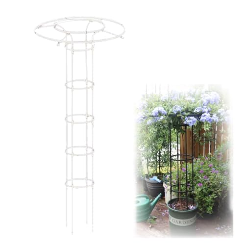 Treillis de jardin vertical pour plantes grimpantes extérieures et fleurs