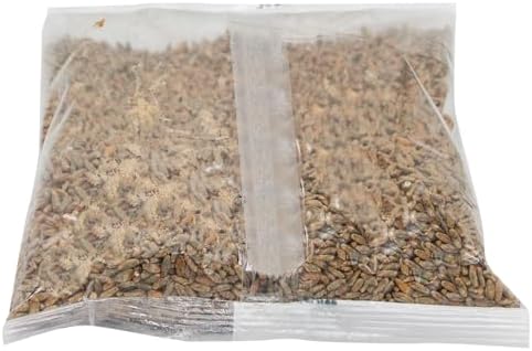 Mash King Rye Malt (1 lb) | Weyermann Whole Grain Brew & Bake Malt – Adds Spicy Rye Flavor & Body to Homebrew Beer, Bread, & Baking — view 2