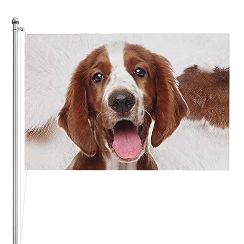 Bannière amusante épagneul springer pour animer votre pelouse