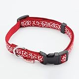 ペティオ (Petio) 首輪 犬雅 唐草カラー レッド M サイズ